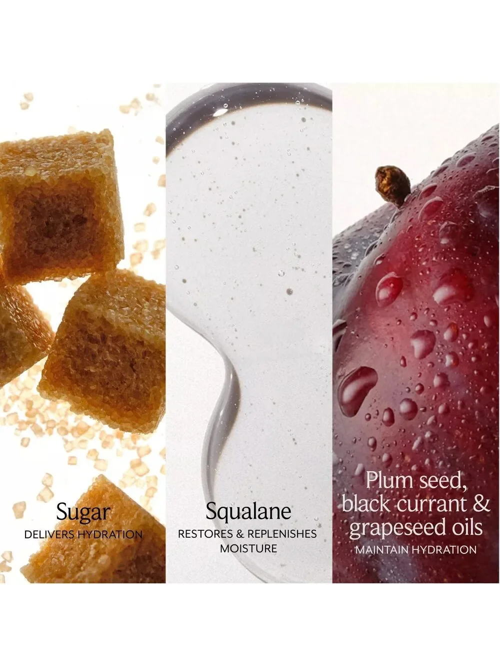 NEW Fresh Sugar Soft Lips Set • Coconut Lip Balm & Sugar Treat Lip Oil in Honey